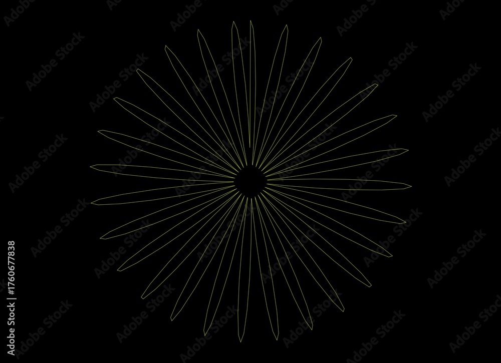 Fototapeta premium Flowers on Black Background