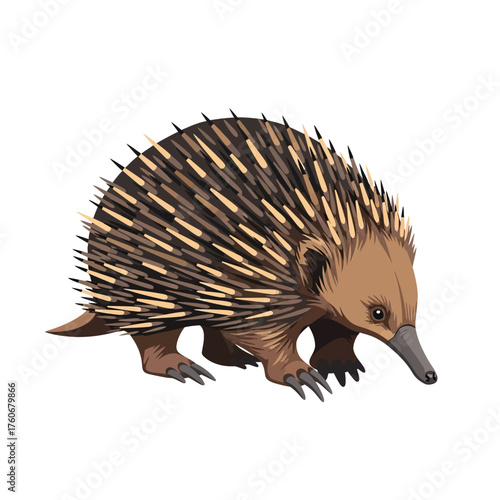 Echidna with Spikes - A Detailed Illustration of the Animal.