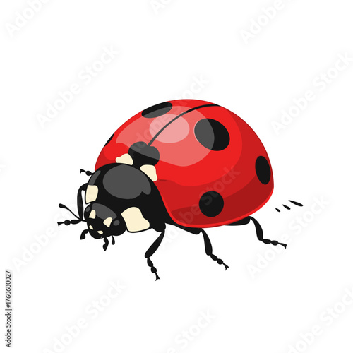 Ladybug insect with red shell and black spots.