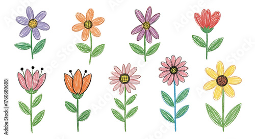 Colorful Crayon Flower Doodles, Hand Drawn Floral Illustration Set on White Background