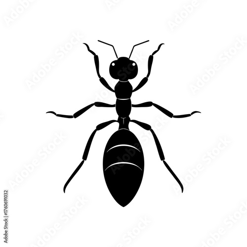 wasp isolated on white background