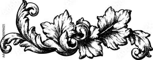 Vintage floral ornament in black and white. Elegant vector illustration featuring detailed leaves and curves in a decorative set.