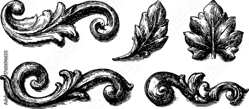 Decorative vintage elements with elegant flourishes and leafy designs. This black and white vector illustration features various ornate motifs in a set.