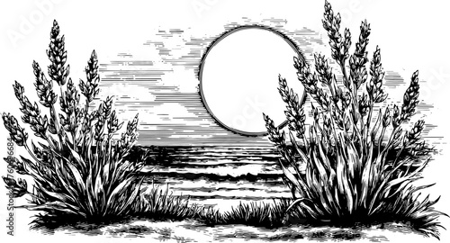 Engravings of grass and plants near the sea. Vintage line vector illustration featuring waves and a sun silhouette in a scenic landscape.