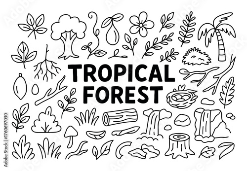 Tropical Forest Doodle