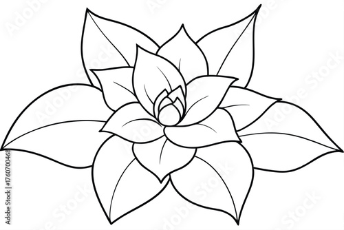 Succulent Line Art Illustration - Echeveria Rosette Outline Black and White Vector