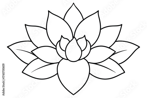 Succulent Line Art Illustration - Echeveria Rosette Outline Black and White Vector