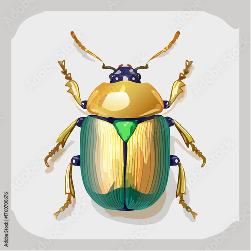 Käfer mit irisierenden grünen und goldenen Farben