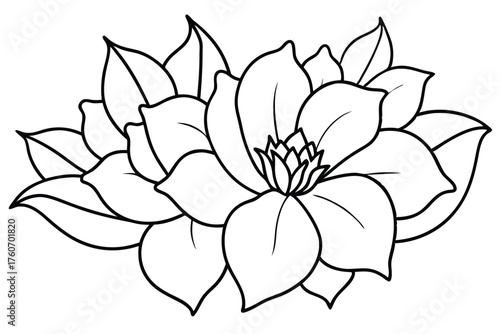 Succulent Outline Drawing - Blooming Echeveria Line Art Black and White Vector