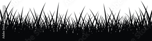 Silhouette of Lush Meadow Grass Blades Creating a Natural Border – Vector Illustration for Design Elements and Backgrounds