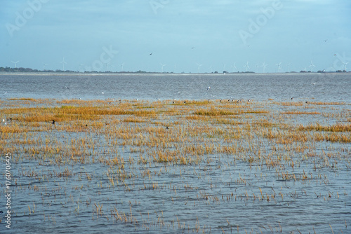 Wattenmeer