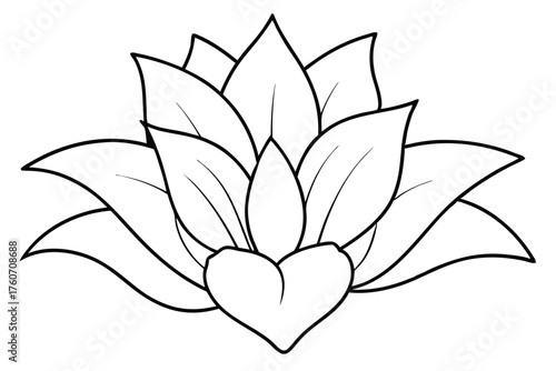 Succulent Outline Drawing - Blooming Echeveria Line Art Black and White Vector