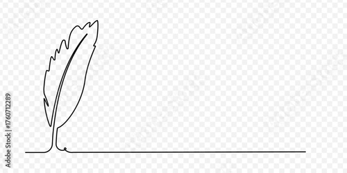 Bird feather line art style. Single line feather 