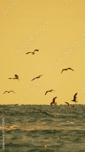 Seagulls flying ocean waves, golden hour light, tranquil scene of birds soaring freely over water at sunrise