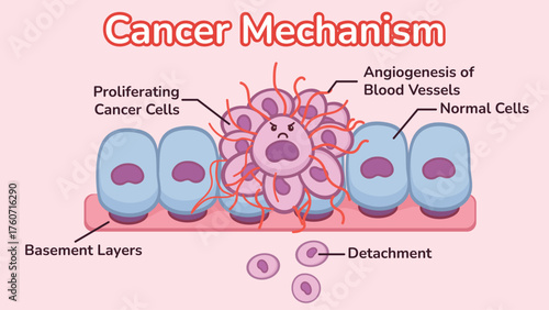 cancer mechanism illustration