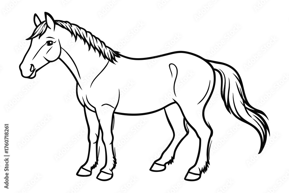 Obraz premium Horse Outline Illustration Farm Animal Line Art Icon