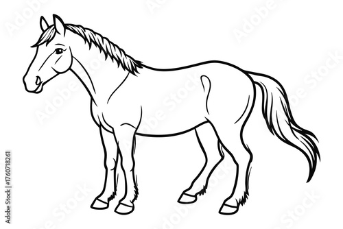 Horse Outline Illustration Farm Animal Line Art Icon