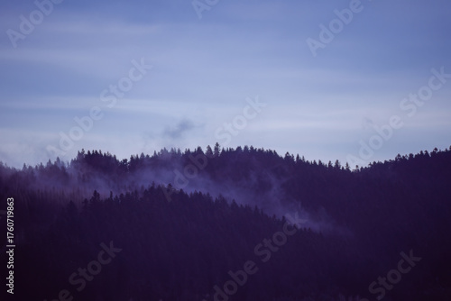 Fototapeta Naklejka Na Ścianę i Meble -  Dense pine-covered mountain in southern Poland wrapped in gentle morning mist under a pale sky, showcasing serene natural beauty.