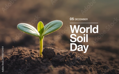 Young seedling emerging from rich soil celebrating world soil day