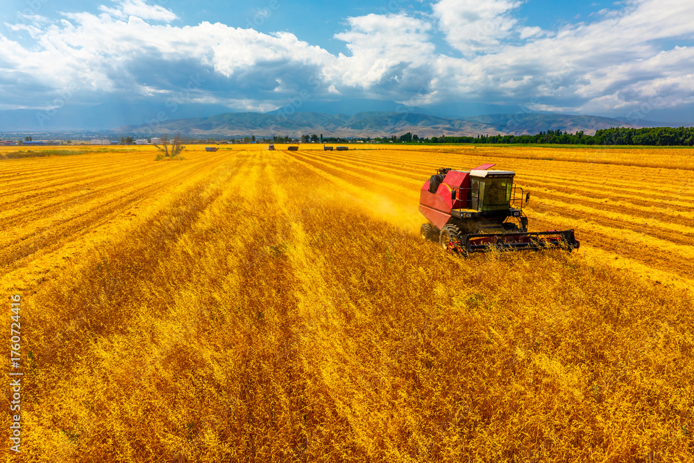 Fototapeta premium Combine harvester actively harvests grain in a rural landscape. Trucks are parked nearby, with mountains providing a serene backdrop under a sunny sky with some clouds.