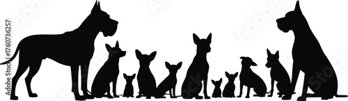 dog, silhouette, group, sitting, protection, hierarchy, family, symmetry, breed, posture, animal, pet, black, white, background, guard, loyalty, canine, formation, unity