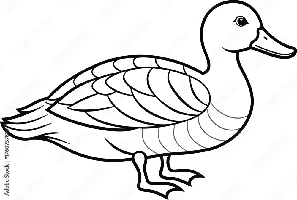 Obraz premium Duck Outline Illustration Bird Line Art Animal Icon