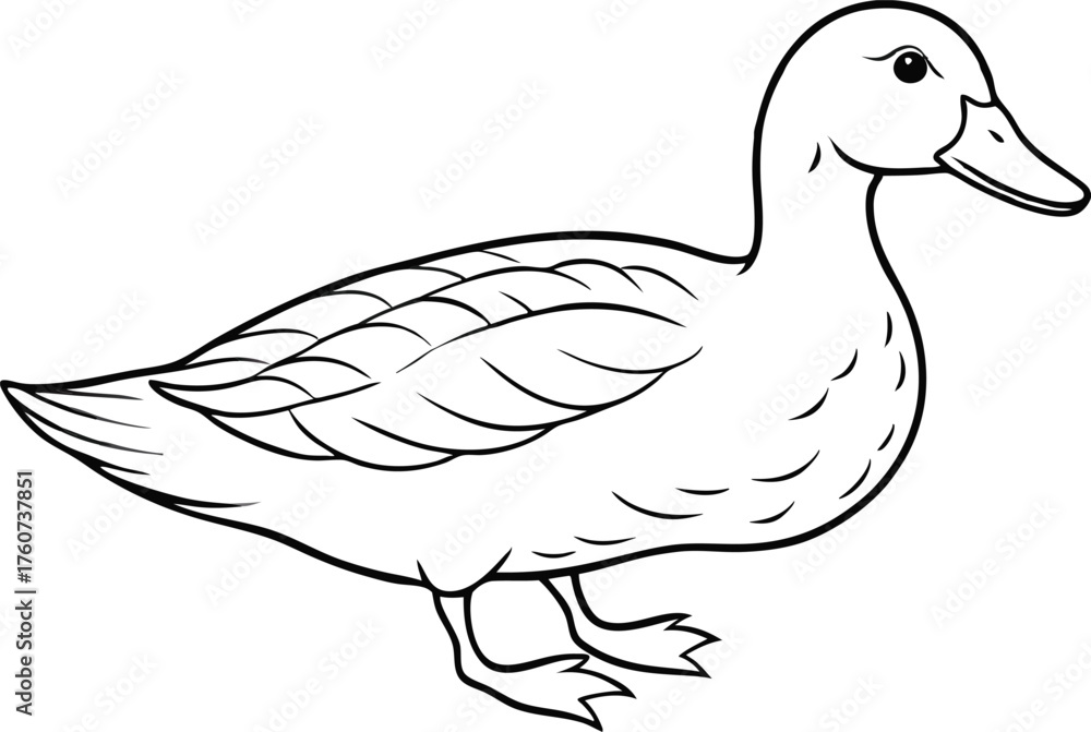 Obraz premium Duck Outline Illustration Bird Line Art Animal Icon