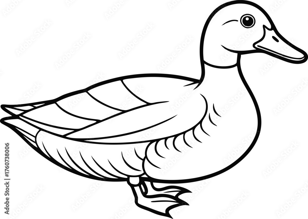 Obraz premium Duck Outline Illustration Bird Line Art Animal Icon