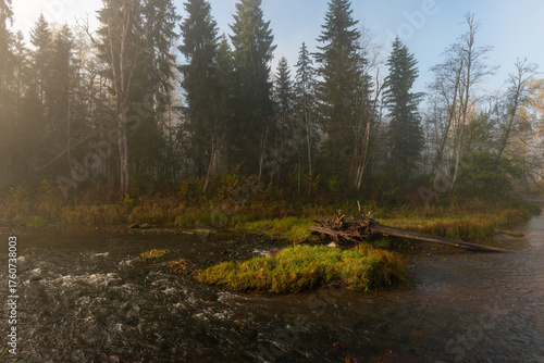 Latvia. Amata nature trail in the morning in autumn.