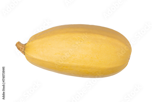Wallpaper Mural Fresh Whole Spaghetti Squash Isolated on Transparent  Background Torontodigital.ca