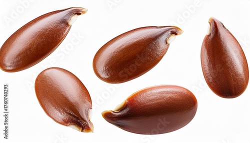 Flax Seeds Set Png Flax Seeds Falling Down Isolated Flat Oval Seeds From Flax Plant Flying Png Flax Seeds In Air Isolated