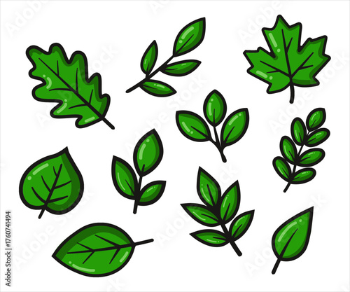 green leaf illustration