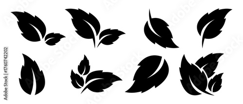 Green leaf icons set. Leaves icon on isolated background. Collection green leaf. Elements design for natural, eco, vegan, bio labels.
