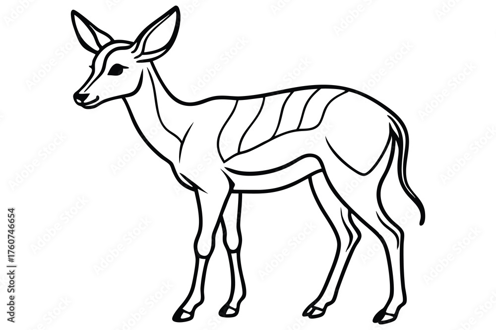 Fototapeta premium Deer Outline Illustration Wild Animal Line Art Icon