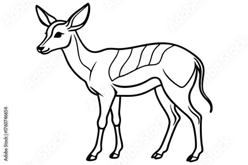 Deer Outline Illustration Wild Animal Line Art Icon
