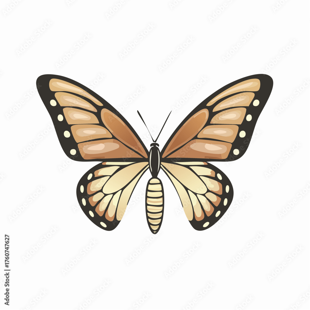 Fototapeta premium Illustration of a butterfly with beige and brown wings on white background