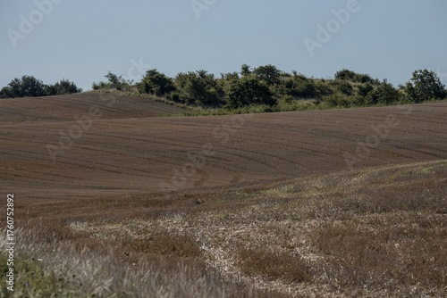 Meadows after autumn harvest
