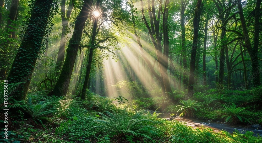 Obraz premium Sunlit Forest Symphony: Sunlight streams through the dense canopy of a lush forest, creating an ethereal spectacle of light and shadow, illuminating the vibrant greenery below.