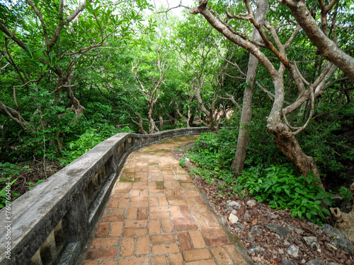10 June'25 Klai Kangwon Palace,Hua Hin,Phetchaburi Province Thailand : Serene Path of the Far from Klai Kangwon Palace