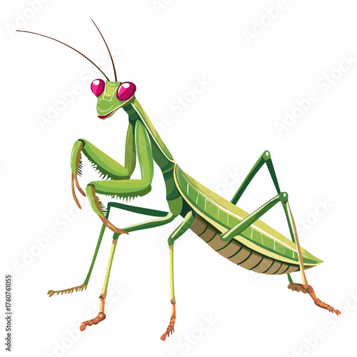  Grüne Gottesanbeterin