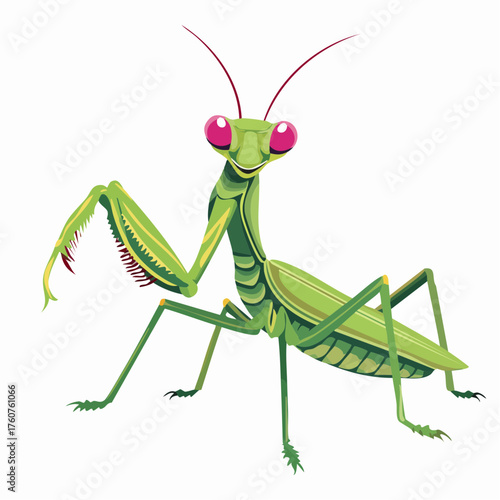  Grüne Gottesanbeterin