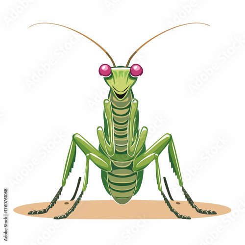  Grüne Gottesanbeterin