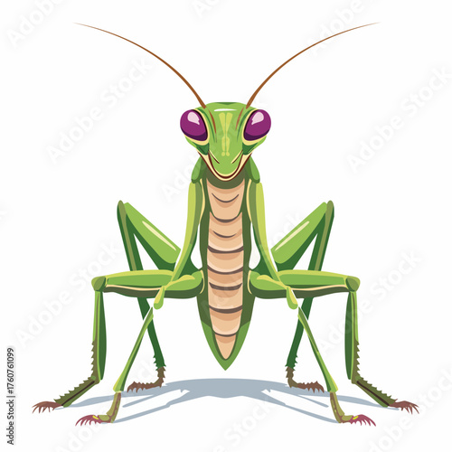  Grüne Gottesanbeterin