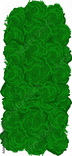 Tall green topiary hedge column vector illustration