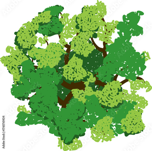 Green tree foliage top view illustration