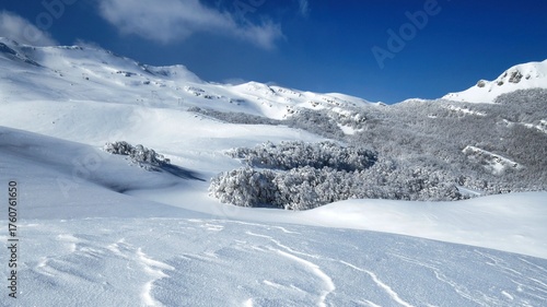 snowy meadows and woods climbing from Prato Spilla to Mount Bocco on the Parma Apennines