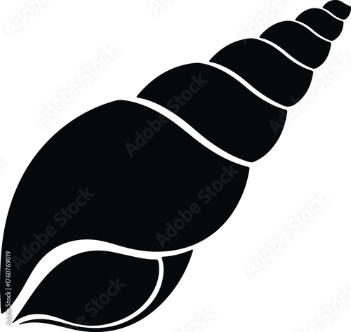 Vector seashell marine sea conch black and white silhouette illustration