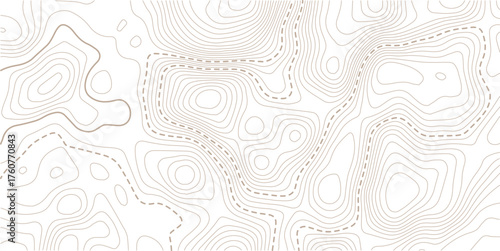 Topographic map pattern background vector. Abstract mountain terrain map background with abstract shape line texture. Design illustration for wall art, fabric, packaging, web, banner.