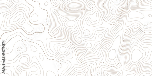 Topographic map pattern background vector. Abstract mountain terrain map background with abstract shape line texture. Design illustration for wall art, fabric, packaging, web, banner.