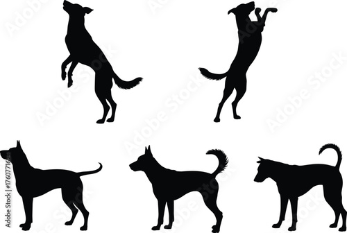 Dog silhouettes, black and white design, various poses, canine motion, pet behavior, animal stance, jumping dogs, standing posture, artistic layout, breed diversity, minimal art